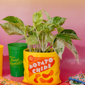 Potato Chips Ceramic Vase