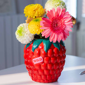 Raspberry Ceramic Vase