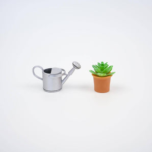 Colourful Watering Can and Succulent Magnet Set