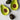 Plat d'avocat