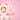 Sakura Flower Magnet Set