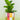Colour Block Ceramic Planter