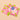 Liebchen Scalloped Coasters - Pink/Lime