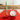 Bougies au piment vert et rouge