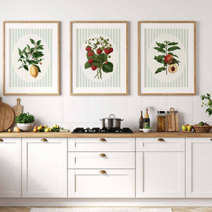 Fruits verts sauge – Ensemble de 3 impressions botaniques pour la cuisine
