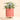 Pink and Red Checkerboard Mini Planter