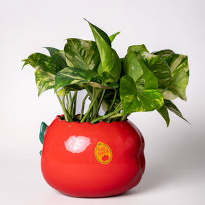 Pot à crayons / Vase en céramique Pomme