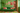 more in the pinks and greens like #8EBC94, #FFA7B1, #D65678, #56D667