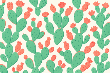 use only prickly pear